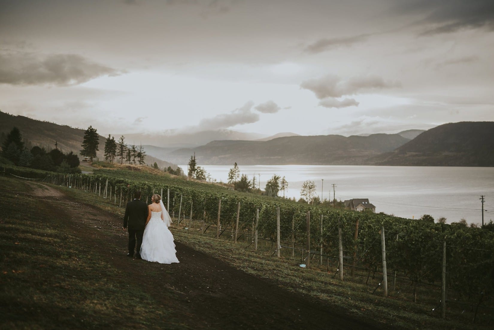 Cedar Creek Estate Winery Wedding Elopement Kelowna BC Photographer