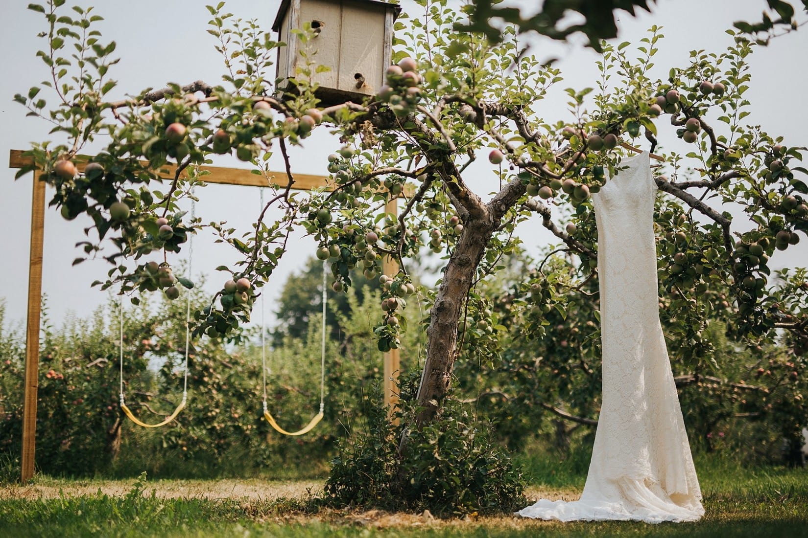Gatzke Orchard Wedding Photographer Barnett Photography