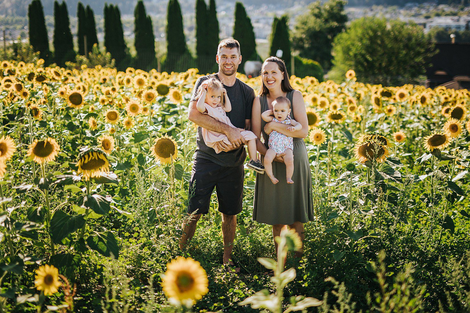 Sunflower Family Photos